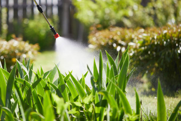 24/7 Emergency Fumigation Services experts in South Highpoint, FL