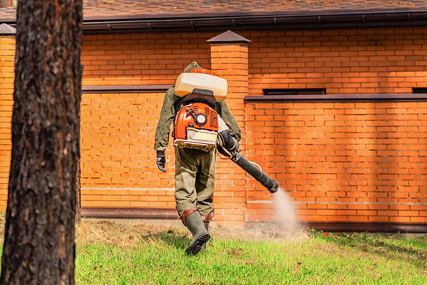 Trusted Emergency Pest Control service in South Highpoint, FL - Nex Pest Control